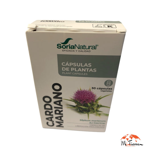 Cardo  mariano Soria 30 cap Soria Natural