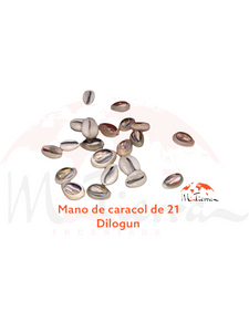 Mano de caracol 21 unidades