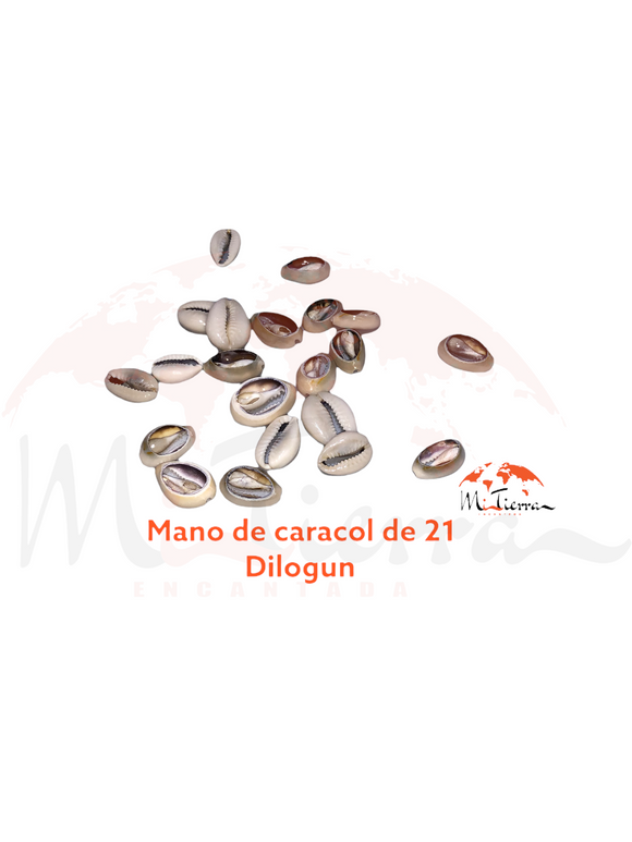 Mano de caracol 21 unidades